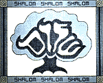Shalom Tallit Bag